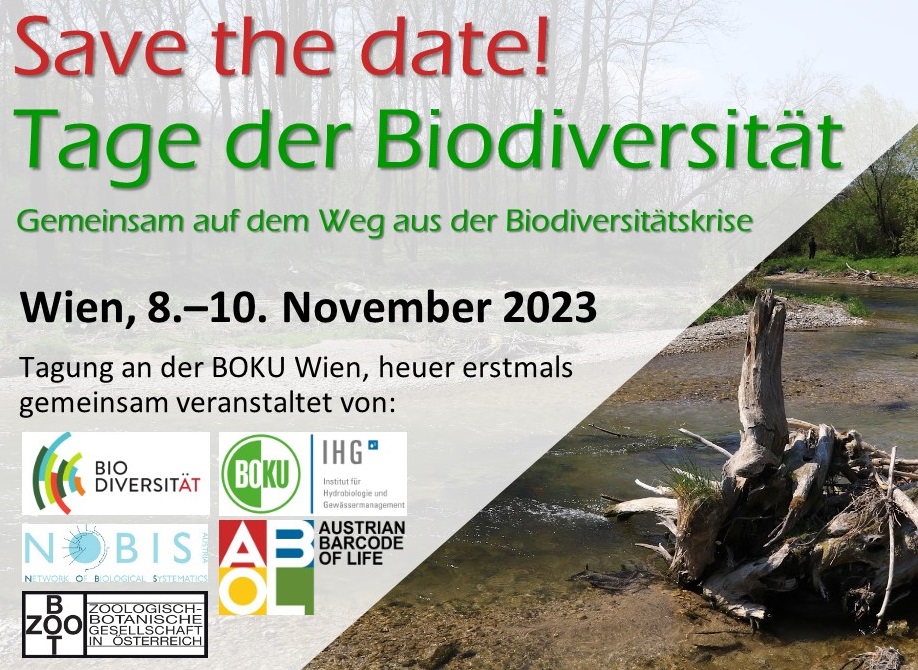 Save_the_date-TDB2023_Karussel